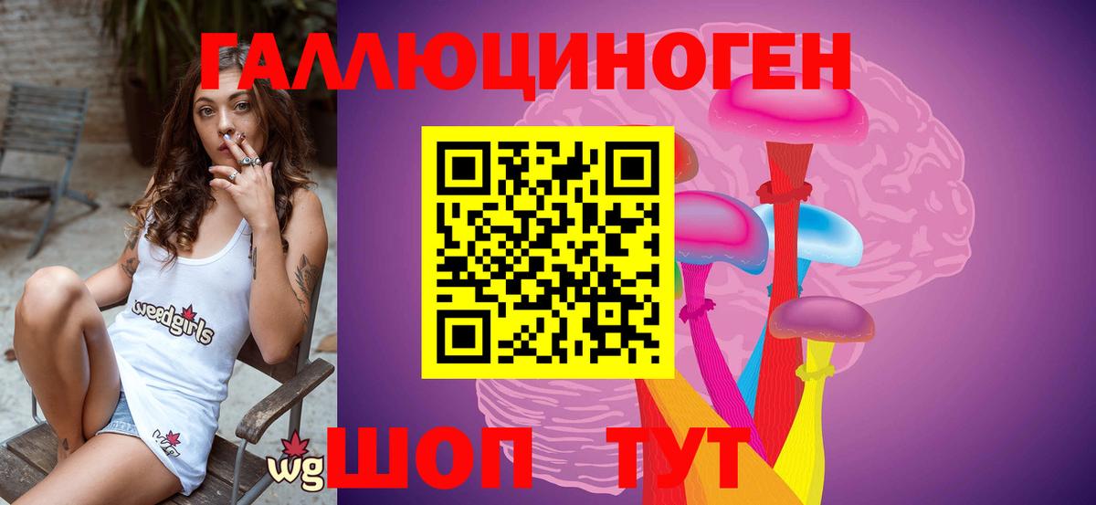 Галлюциногенные грибы Psilocybe Саянск