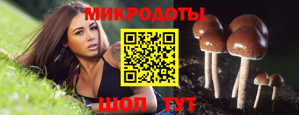 Саянск  Псилоцибиновые грибы GOLDEN TEACHER  Вход с VPN 